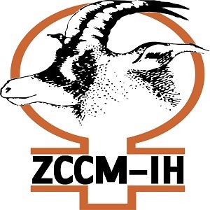 ZCCM Investments Holdings Plc